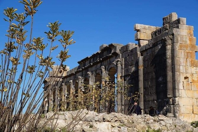 One Day Trip to Volubilis and Meknes From Fes - Last Words