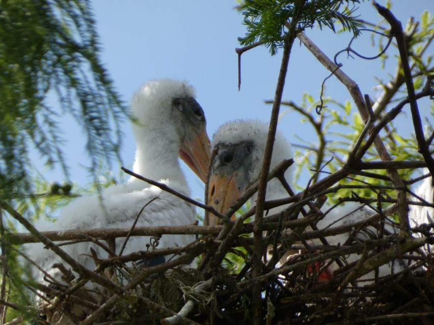 Orlando's Lake Norris: 5-Hour Kayak Explorer Tour With Lunch - Location Information