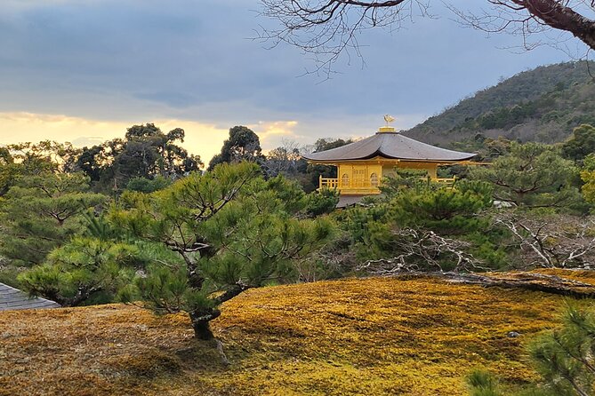 Osaka Dep, Arashiyama Ninnaji and Golden Pavilion Full Day Tour - Common questions