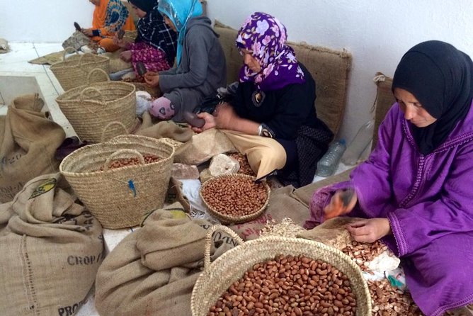 Ourika Valley - Private Day Trip From Marrakech - Last Words