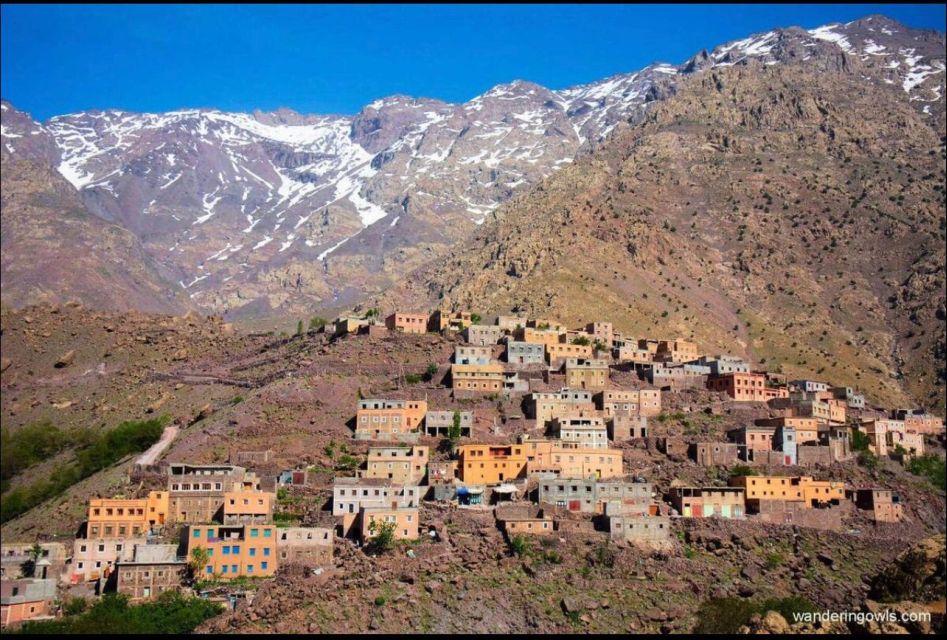 Ourika Valley & Waterfall Berber Villages Camel Ride Trip - Last Words