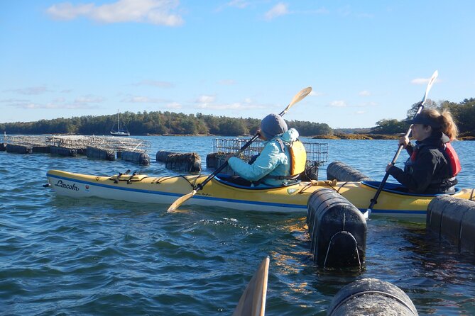 Oyster Farm & Complimentary Tasting Sea Kayak Tour in Casco Bay - Common questions