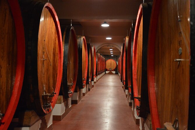 Pagus Wine Tours - Soave and Amarone - Half Day Wine Tour - Customer Support