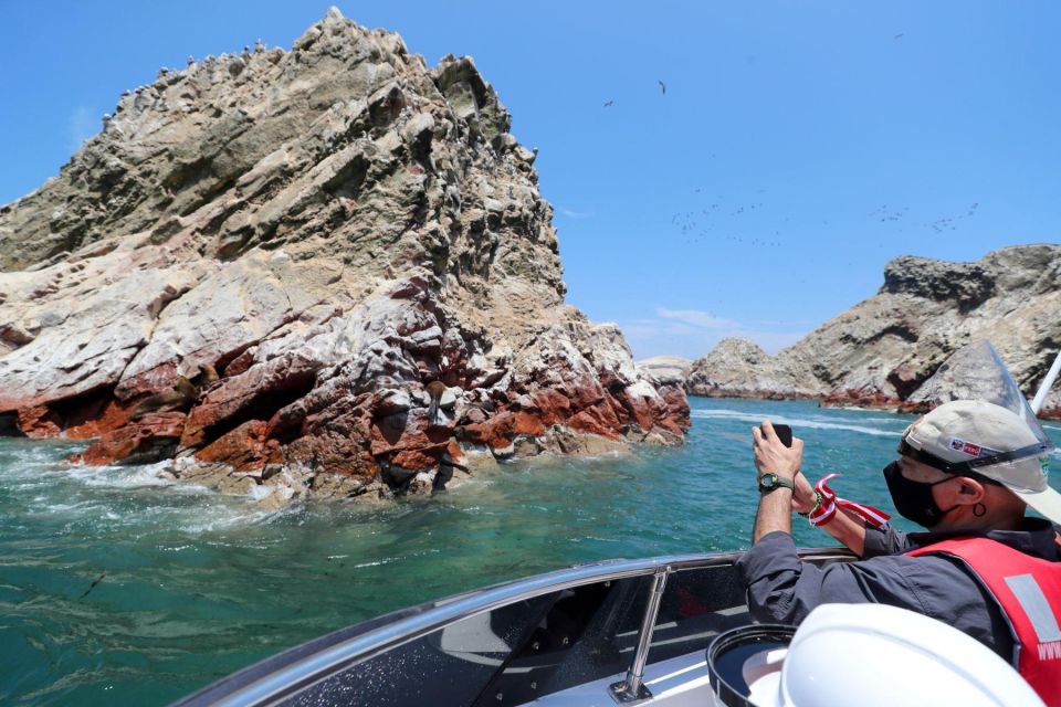 Paracas: Observation of Marine Fauna in Ballestas Islands - Expert Insights on Island Fauna