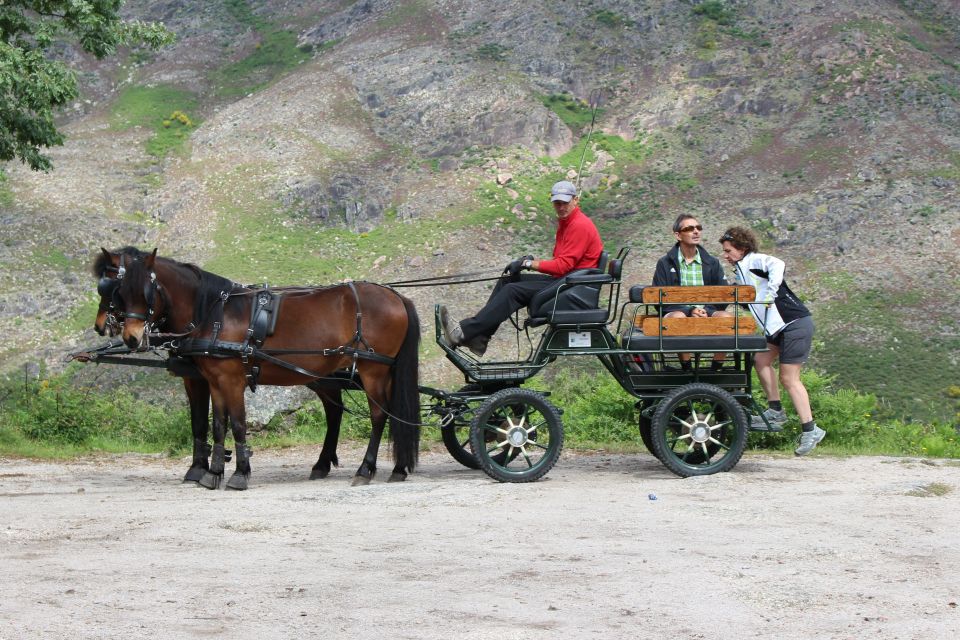 Peneda-Gerês: Full-Day Premium Tour - Accommodation Pickup Details