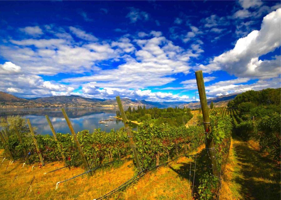 Penticton Wineries Tour - Sustainable Winery Practices