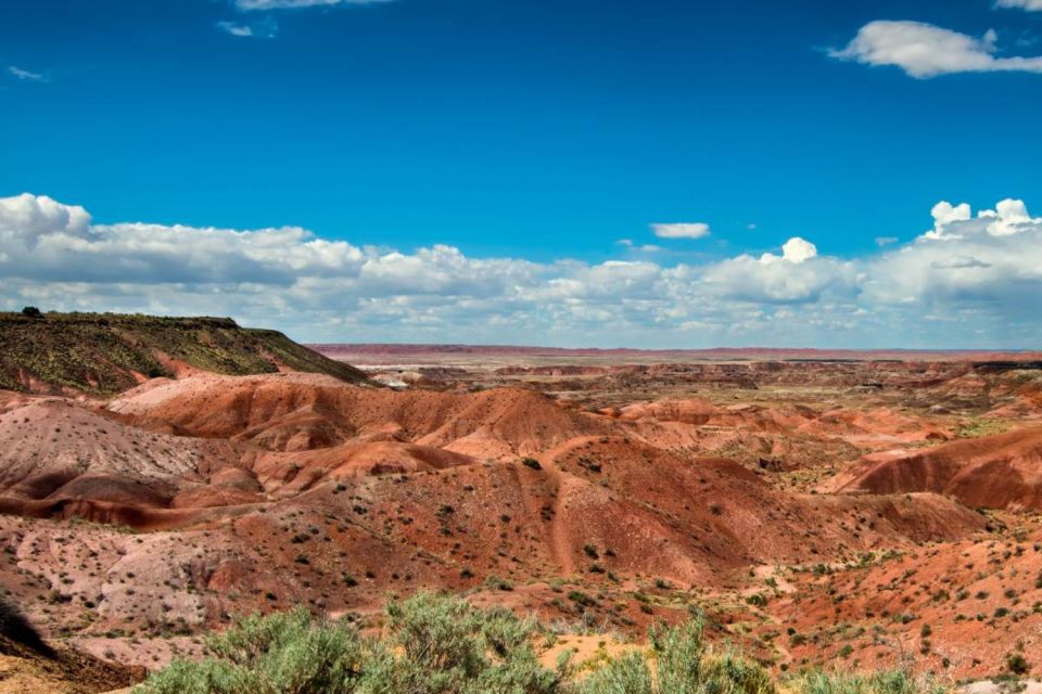 Petrified Forest National Park Self-Guided Audio Tour - App Features
