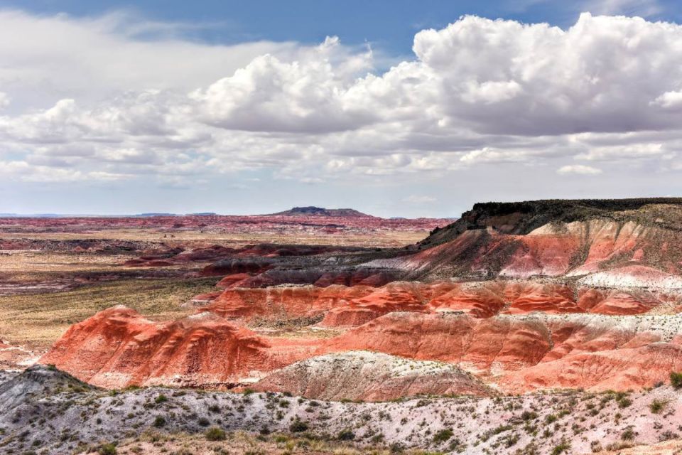 Petrified Forest National Park Self-Guided Audio Tour - Tour Highlights and Stops