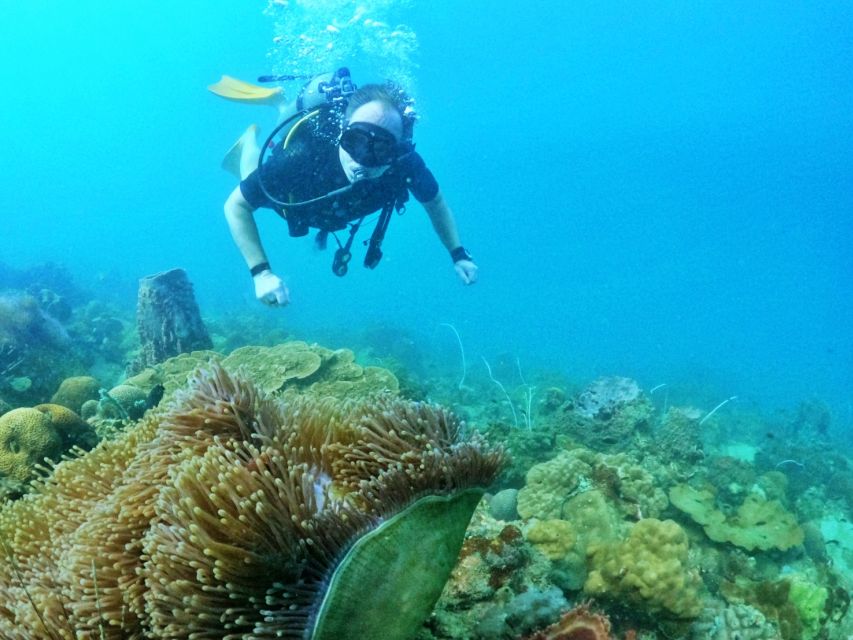 Phu Quoc: Scuba Diving Experience for All Levels - Common questions