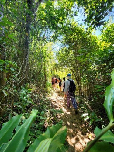 Phuket Lookouts Tour With Lunch at Organic Farm - Visit to Organic Farm