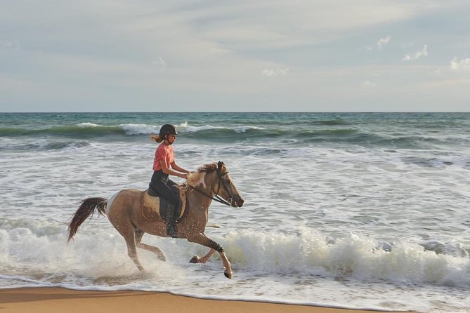 Phuket: Small-Group Horseback Riding Tour, Jungle or Beach - Common questions