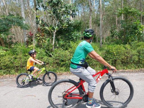 Phuket's Hidden Trails Biking Adventure Small-Group Tour - Directions