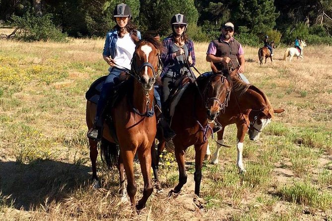 Picnic on Horseback in Rome - Last Words