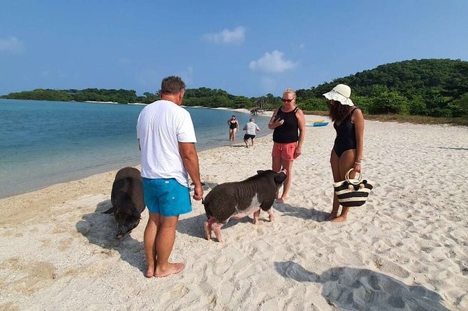 Pig Island Snorkeling & Sightseeing Tour By Speedboat From Koh Samui - Customer Support