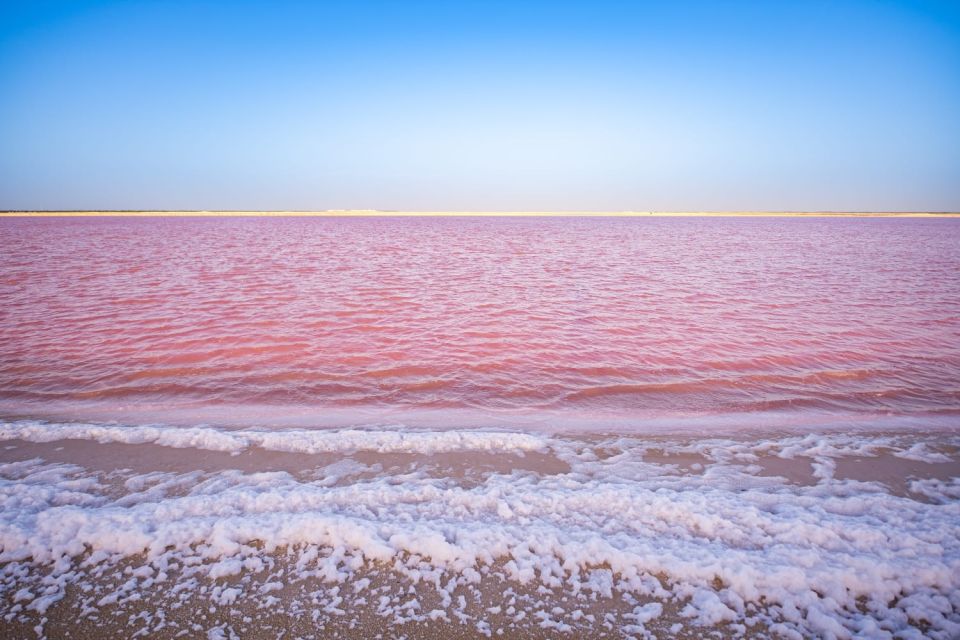 Playa Del Carmen/Cancún: Rio Lagartos & Las Coloradas Tour - Common questions