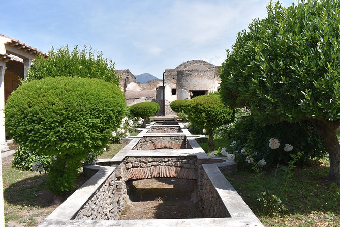 Pompeii & Amalfi Coast Tour From Naples or Sorrento - Contact and Support