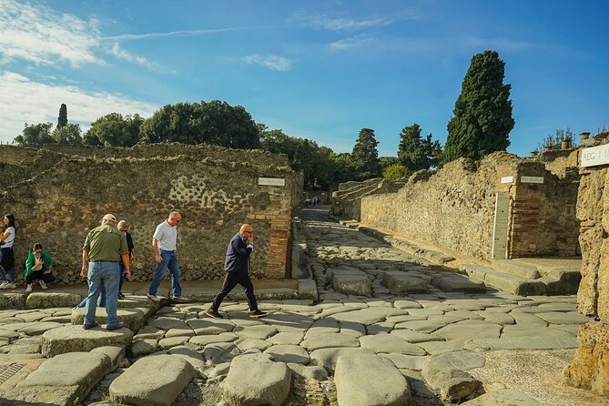 Pompeii and Mount Vesuvius Private Full-Day Tour - Common questions