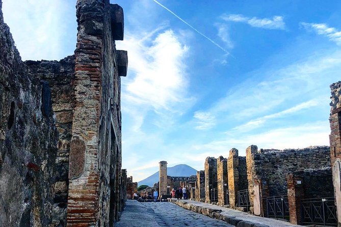 Pompeii and Vesuvius From Sorrento Small Group - Viator Assistance