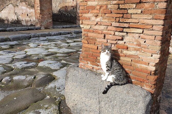 Pompeii Small-Group Half-Day Tour With Transit  - Naples - Common questions