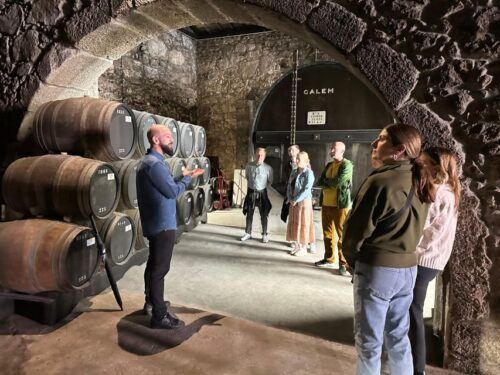 Port Cellar Visit & Tasting - Tips for Enjoying the Tour