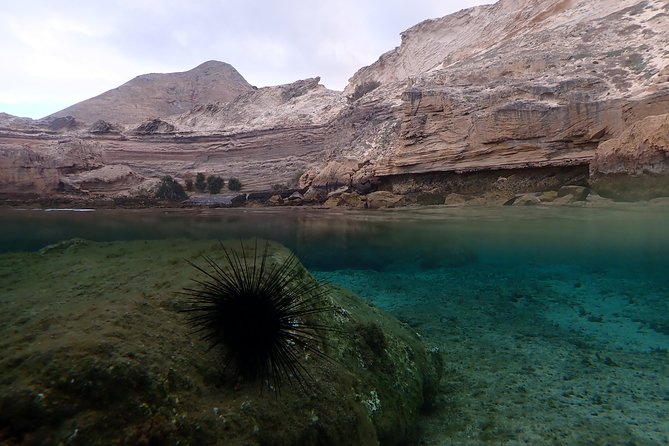 Porto Santo Snorkeling Tour - Common questions