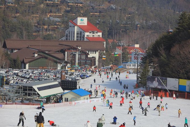 [Premium Private Ski Tour] Pyeongchang Olympic Site (Private Ski Lesson) - Viator Booking Terms