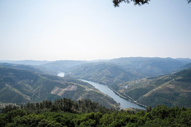 Premium Small Group Douro Valley Wine Tour With Lunch and Cruise - Common questions