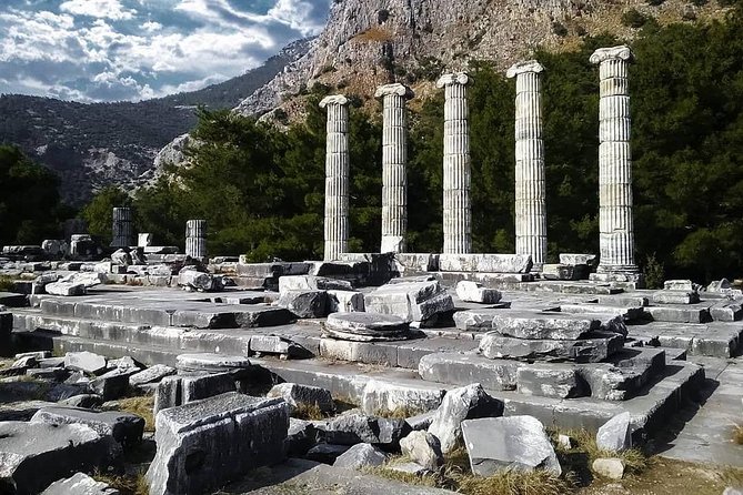 Priene Miletos Didyma (PMD) Tour From Kusadasi Port / Hotels - Booking and Contact Details