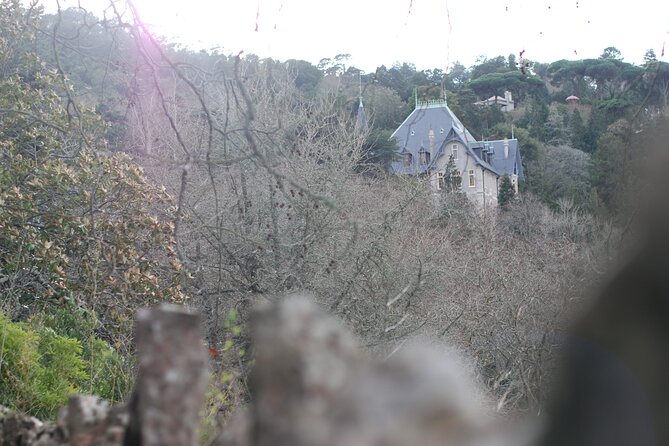 Private 1 Hour Sintra Guided Tour - Activity Inquiries