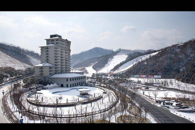 Private 1:1 Ski Lesson Near Seoul, South Korea - Common questions