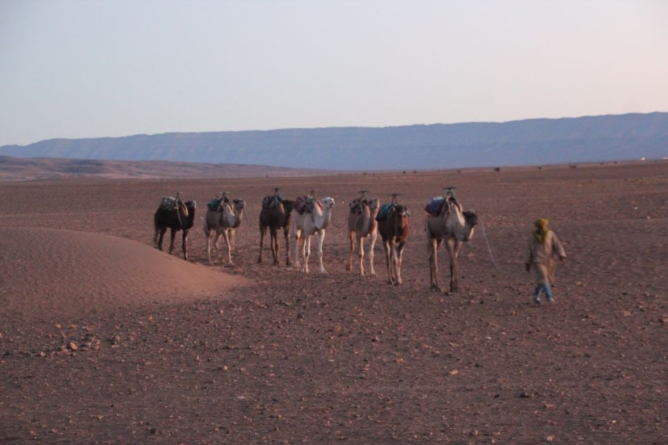 Private 2-Day Desert Trip With Camping & Camel Trekking - Camel Riding & Sunset Experience
