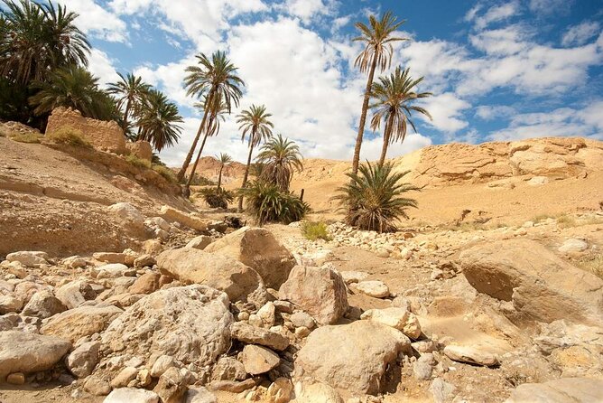 PRIVATE 2 Day SAFARI (Ksar Ghilane and Atlas Mountains) From Jerba - Booking and Cancellation Policy