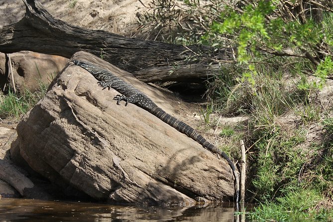 Private 5-Hour Kayaking Tour With Gourmet Lunch, Nepean Gorge  - Sydney - Cancellation Policy Information