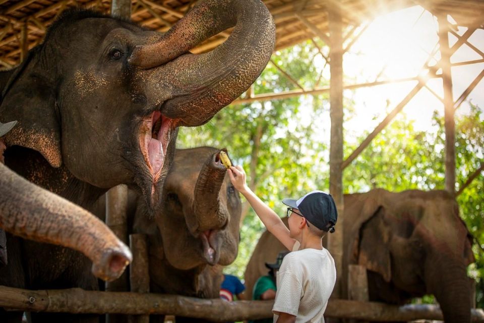 Private Beach With Bathing and Take Care Elephant - Common questions