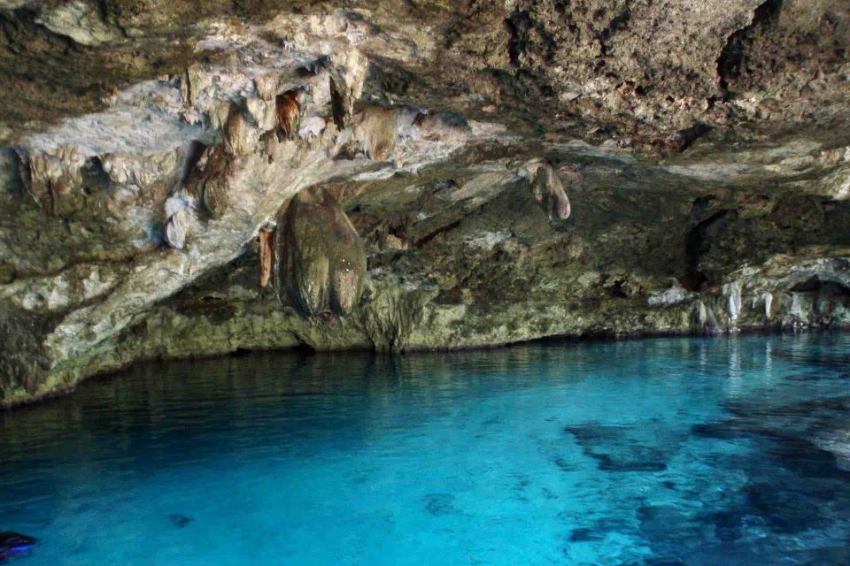 Private Cenote Exploration - Maya Culture, Fossils & Fun - Pricing and Reservation Information