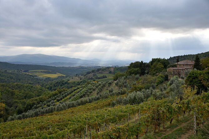 Private Chianti Wine Tour - Contact for Inquiries and Assistance