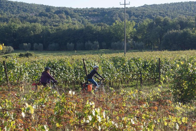 PRIVATE Civita Di Bagnoregio and Orvieto Wine Tasting -Ebike Tour - Common questions