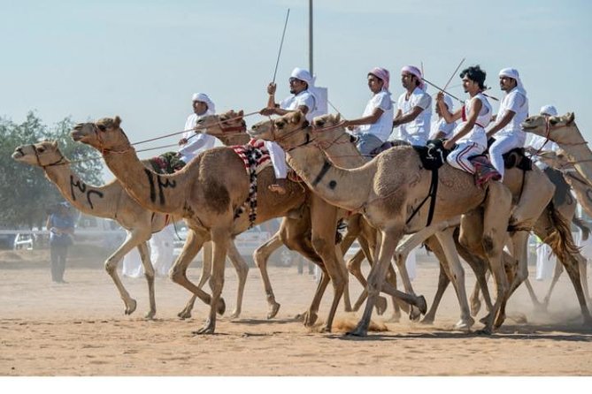 (Private Combo Tour) Sheikh Faisal Museum And Camel Race Track - Last Words