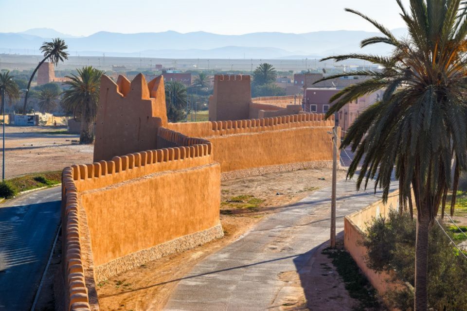 Private Day Excursion to Taroudant Oissis Tiout With Lunch - Common questions