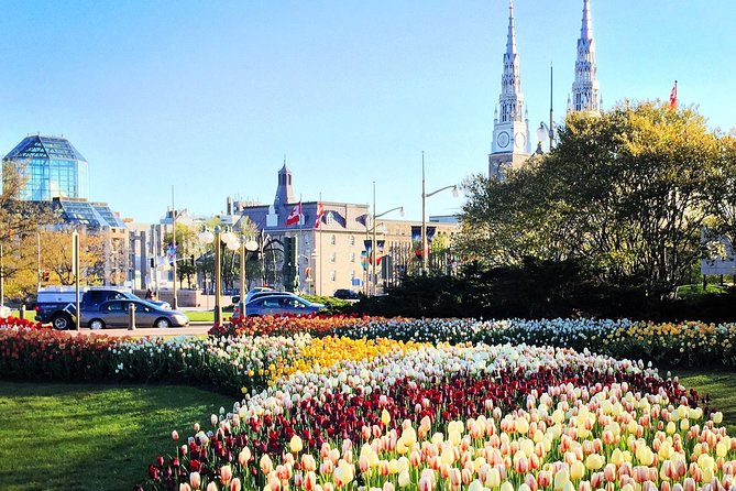 Private Day Tour OTTAWA Tulip Festival May 10-20 From MONTREAL - Local Weather Considerations