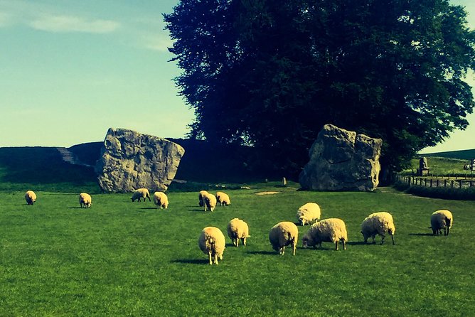 Private Day Tour to Bath, Avebury & The Cotswolds - Common questions