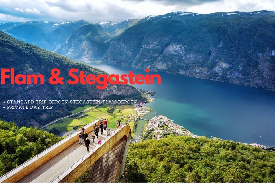 Private Day Trip to Flam & Stegastein - Language Options for Tour Guide