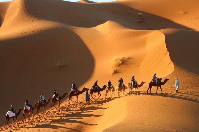 Private Desert Tour From Marrakech To Fes Via Desert Sahara - Common questions