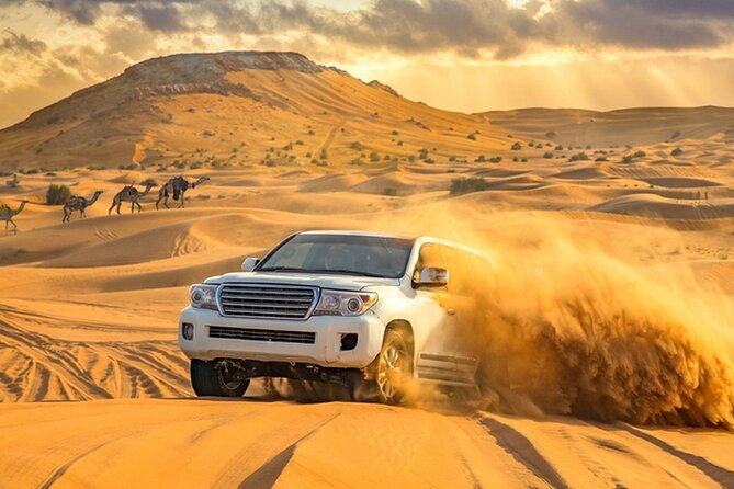 Private Evening Desert Safari With BBQ Dinner Dubai - Last Words