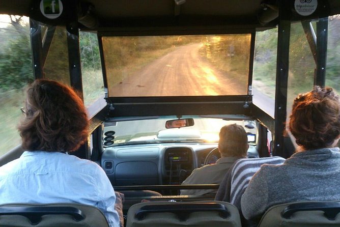 Private Full Day Safari L Kruger National Park From Hazyview or Skukuza - Common questions