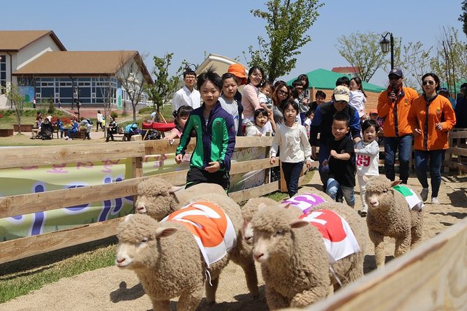 Private Full Day Tour Anseong Farm Land With Gwangmyeong Cave - Last Words