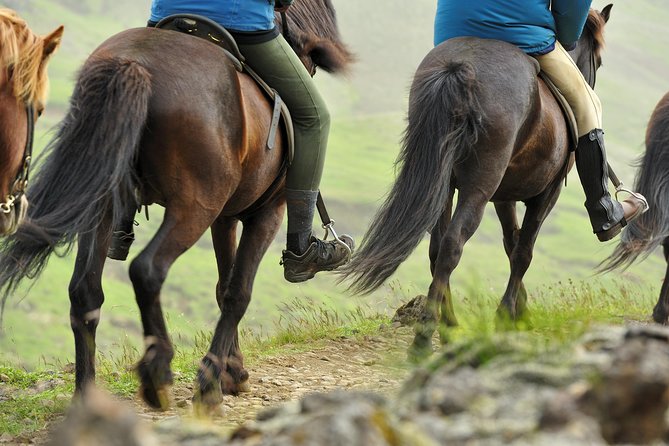 Private Golden Circle and Horse Riding Tour From Reykjavik - Last Words