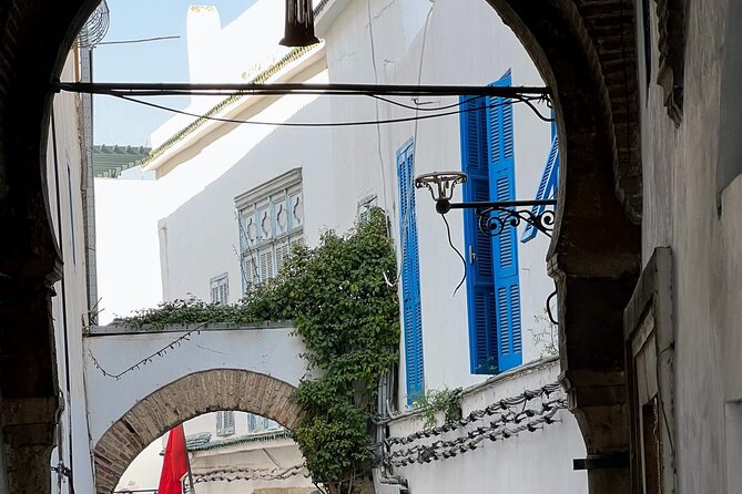 Private Group Day Tour Tunis Medina Carthage Sidi Bou Said - Common questions