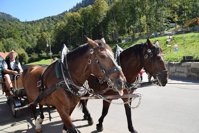 Private Guided Day Trip to Castle Neuschwanstein Incl. Carriage Horse Ride - Common questions