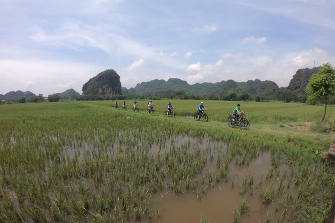 Private Ninh Binh - Mua Cave - Trang An - Bich Dong Full Day Tour - Last Words